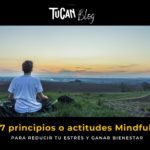 Los principios del Mindfulness