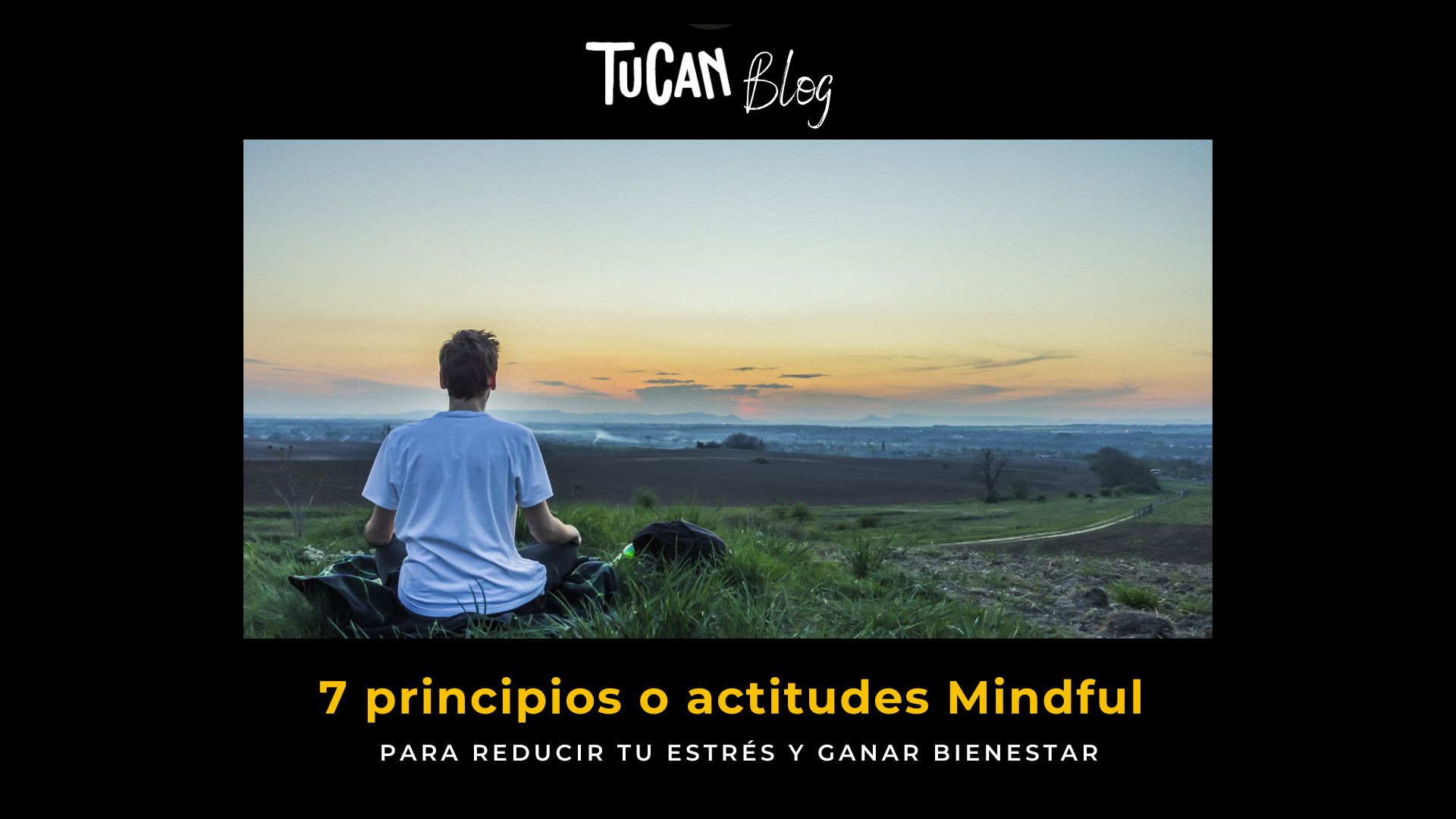 Los principios del Mindfulness